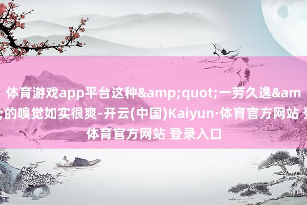 体育游戏app平台这种"一劳久逸"的嗅觉如实很爽-开云(中国)Kaiyun·体育官方网站 登录入口
