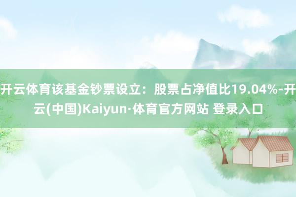 开云体育该基金钞票设立：股票占净值比19.04%-开云(中国)Kaiyun·体育官方网站 登录入口