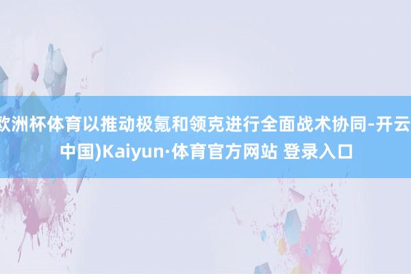 欧洲杯体育以推动极氪和领克进行全面战术协同-开云(中国)Ka