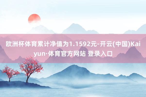 欧洲杯体育累计净值为1.1592元-开云(中国)Kaiyun·体育官方网站 登录入口