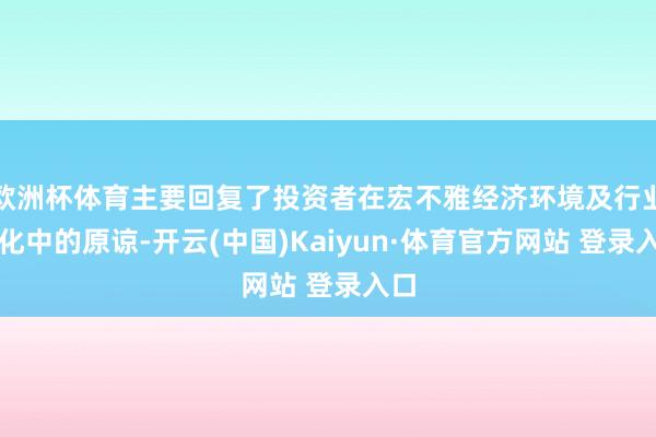 欧洲杯体育主要回复了投资者在宏不雅经济环境及行业变化中的原谅-开云(中国)Kaiyun·体育官方网站 登录入口