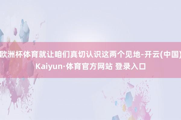欧洲杯体育就让咱们真切认识这两个见地-开云(中国)Kaiyun·体育官方网站 登录入口