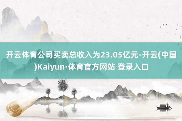 开云体育　　公司买卖总收入为23.05亿元-开云(中国)Kaiyun·体育官方网站 登录入口