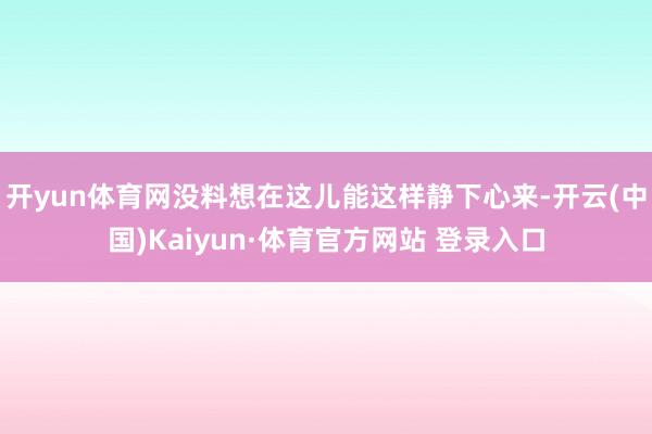 开yun体育网没料想在这儿能这样静下心来-开云(中国)Kaiyun·体育官方网站 登录入口