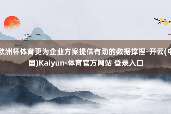 欧洲杯体育更为企业方案提供有劲的数据撑捏-开云(中国)Kaiyun·体育官方网站 登录入口