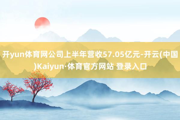 开yun体育网公司上半年营收57.05亿元-开云(中国)Kaiyun·体育官方网站 登录入口