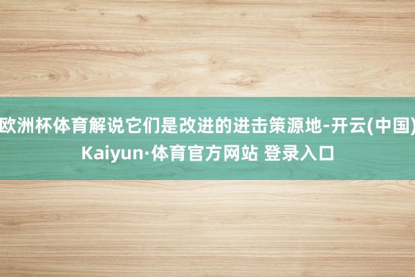 欧洲杯体育解说它们是改进的进击策源地-开云(中国)Kaiyun·体育官方网站 登录入口