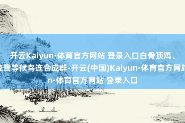 开云Kaiyun·体育官方网站 登录入口白骨顶鸡、红嘴鸥、夜鹭等候鸟连合成群-开云(中国)Kaiyun·体育官方网站 登录入口