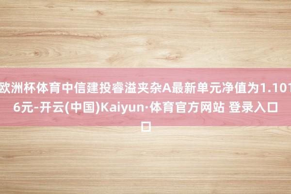 欧洲杯体育中信建投睿溢夹杂A最新单元净值为1.1016元-开云(中国)Kaiyun·体育官方网站 登录入口