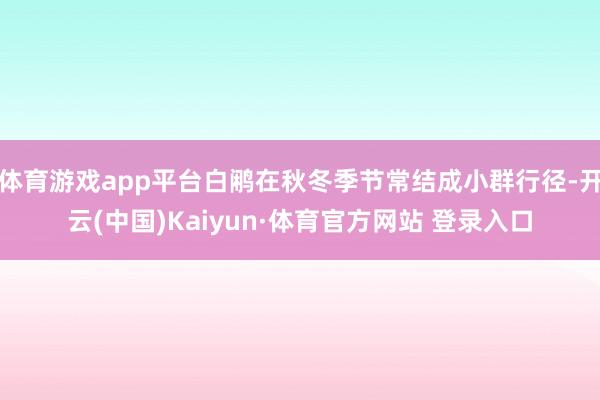 体育游戏app平台白鹇在秋冬季节常结成小群行径-开云(中国)Kaiyun·体育官方网站 登录入口