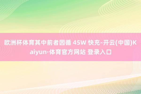 欧洲杯体育其中前者因循 45W 快充-开云(中国)Kaiyu