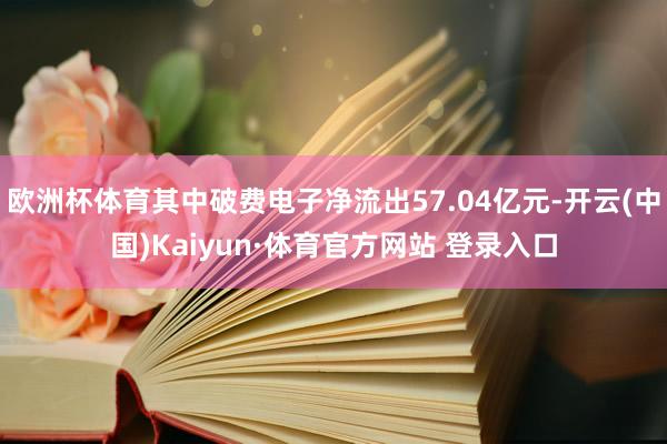 欧洲杯体育其中破费电子净流出57.04亿元-开云(中国)Kaiyun·体育官方网站 登录入口