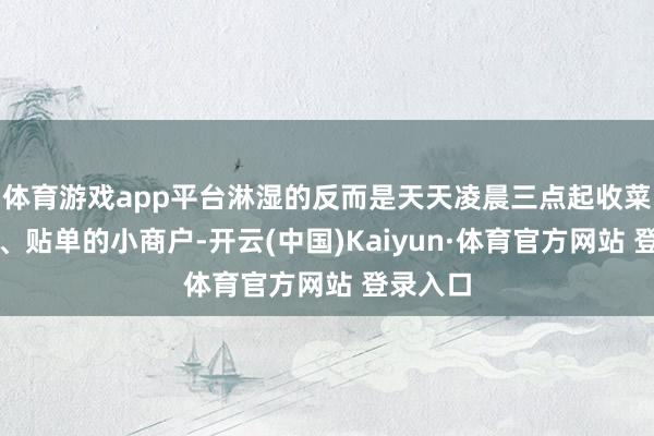 体育游戏app平台淋湿的反而是天天凌晨三点起收菜、打包、贴单的小商户-开云(中国)Kaiyun·体育官方网站 登录入口